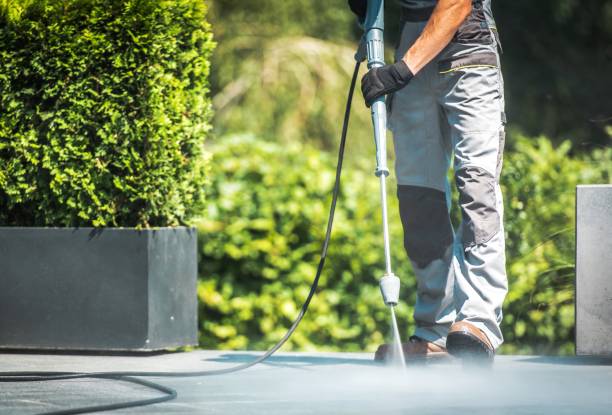 Best Patio and Deck Pressure Washing  in South Haven, MI