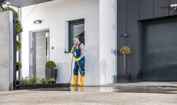 Best Residential Exterior Washing  in South Haven, MI
